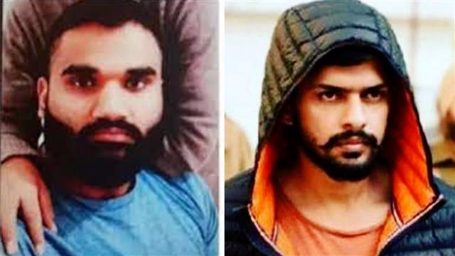 Goldy Brar Rohit Godara Lawrence Gang
